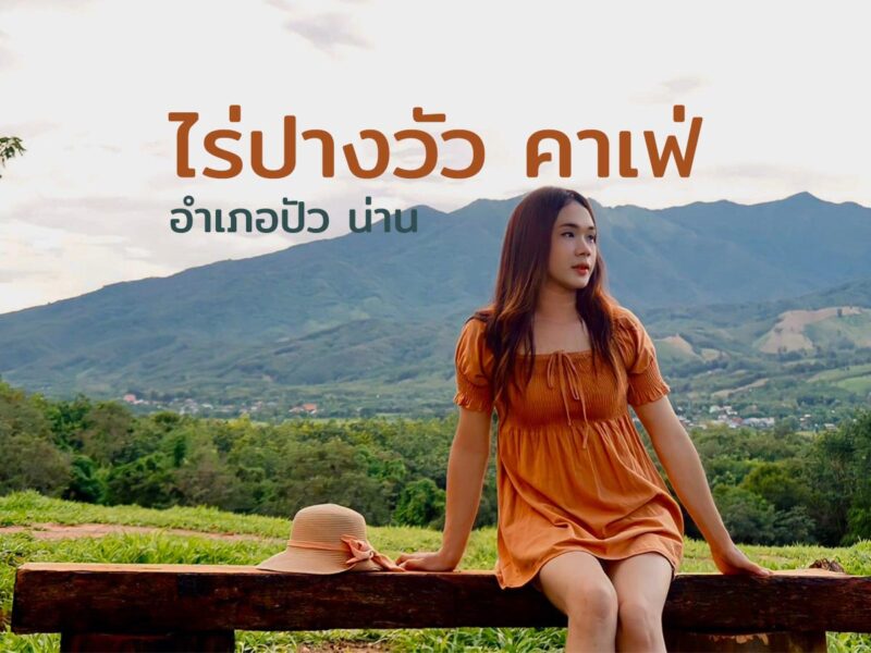 ไร่ปางวัว คาเฟ่ ในอำเภอปัวน่าน ถ่ายรูปกับน้องวัวคู่ธรรมชาติป่าไม้ที่เขียวชะอุ่ม