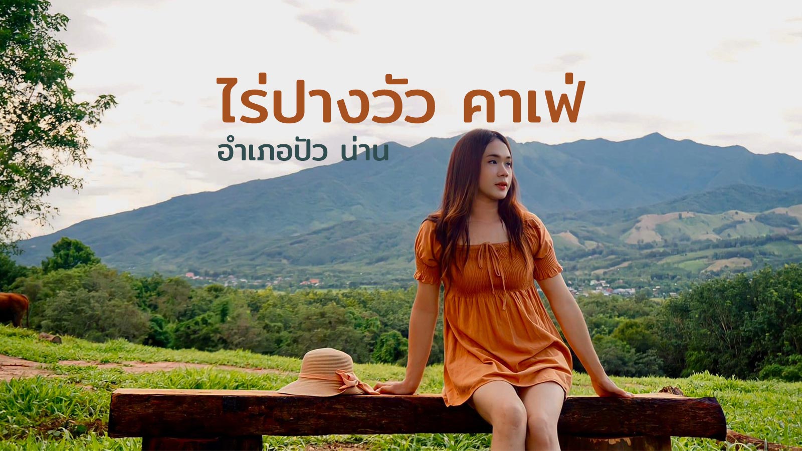 ไร่ปางวัว คาเฟ่ ในอำเภอปัวน่าน ถ่ายรูปกับน้องวัวคู่ธรรมชาติป่าไม้ที่เขียวชะอุ่ม