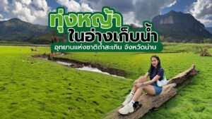 ทุ่งหญ้าในอ่างเก็บน้ำ อุทยานแห่งชาติถ้ำสะเกิน จังหวัดน่าน