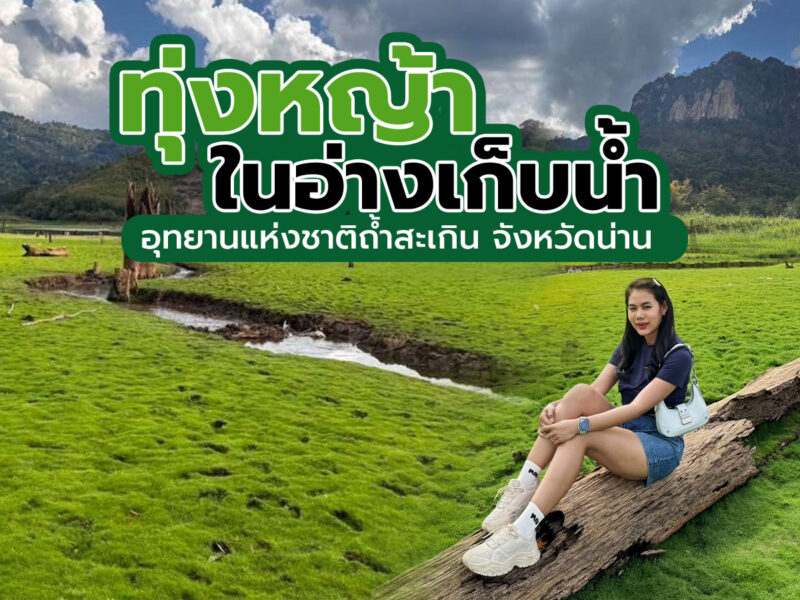 ทุ่งหญ้าในอ่างเก็บน้ำ ที่อุทยานแห่งชาติถ้ำสะเกิน จังหวัดน่าน ความงามในฤดูร้อน